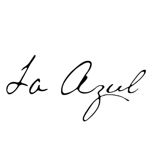 logo azulll